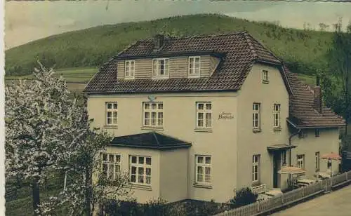 Deckbergen - Weserbergland - Pension Bergfrieden - von 1959   (AK59089)