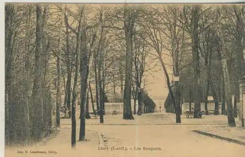 Livry (S.-et-O.) - Les Bosquets - von 1905 (AK59242)