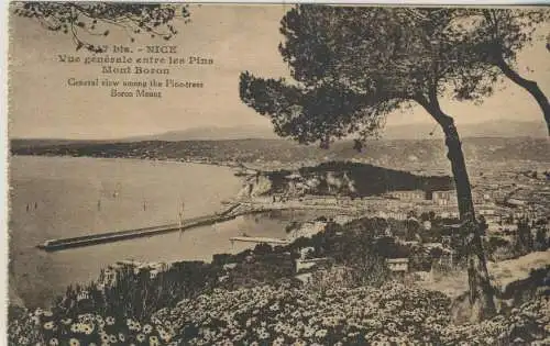 NICE - Vue générale entre les Pins Mont Boron  - von 1922 (AK59252)