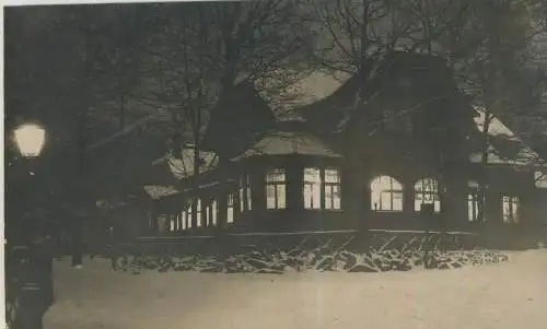 Herrschaftliches Haus im Winter von 1919 (59307)