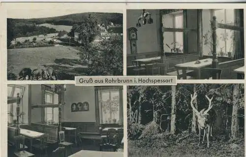 Gruss aus Rohrbrunn i. Hochspessart - 4 Ansichten - von 1953 (AK59508)