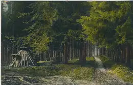 Partie bei Elend i. H. - von 1908 (AK59526)