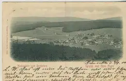 Gruss aus dem Harz - Totalansicht Hahnenklee  - von 1900 (AK59543)