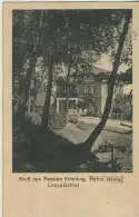 Gruß von Pension Erholung - Heinr. Winter - Leopoldsthal - von 1914 (AK59554)