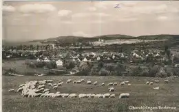 Oberuhldingen/Bodensee - von 1967(AK59555)