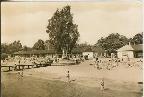 DESSAU - Strandbad Adria - von 1959 (AK42737)