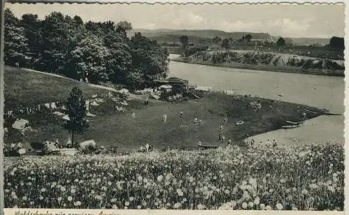 Waldschänke "Zur zornigen Ameise" - Bevertalsperre   v. 1952 (AK52186)