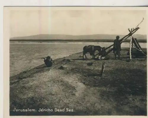 Jerusalem - Jéricho Dead Sea - 9,1cm x 7,2cm - (F59638)