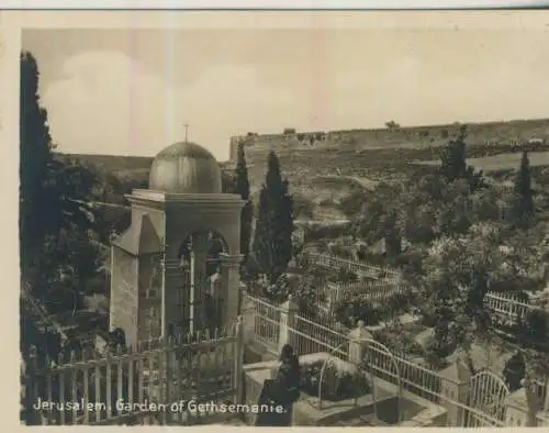 Jerusalem -  Garden of Gethsemanie - 9,1cm x 7,2cm - (F59648)