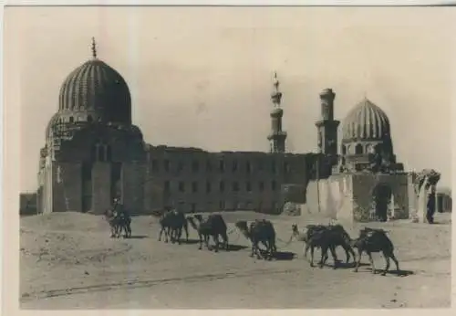 Cairo - Tombs of the Califs - 9,0cm x 6,0cm - (F59708)