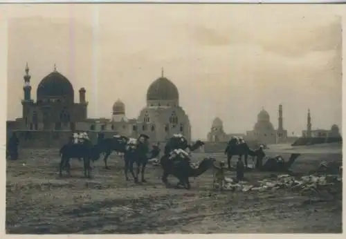 Cairo - Tombs of the Califs - 9,0cm x 6,0cm - (F59712)