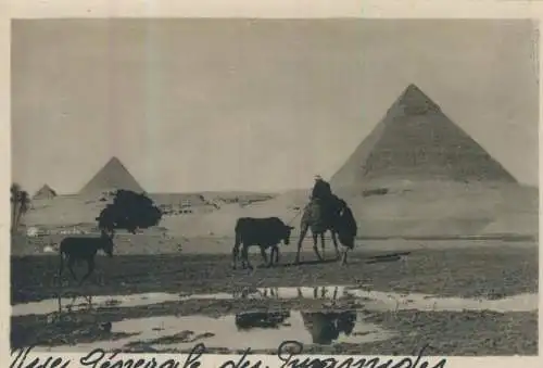 Cairo - The Pyramids - 9,0cm x 6,0cm - (F59729)