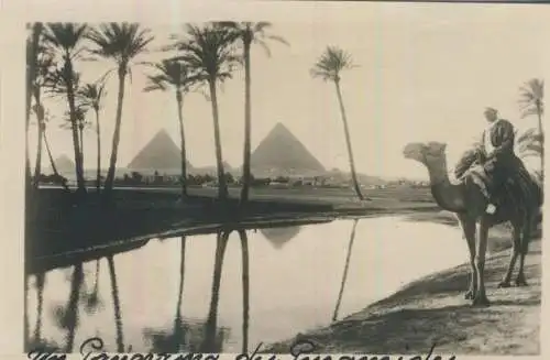 Cairo - Pyramids of Gizeh - 9,0cm x 6,0cm - (F59733)