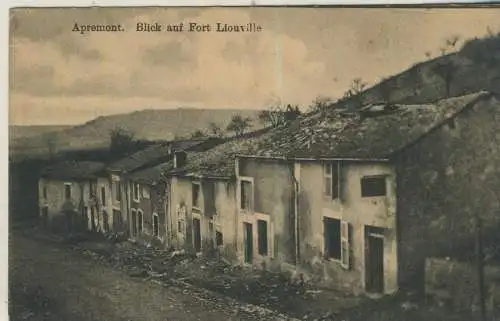 Apremont - Blick auf Fort Liouville -  von 1915 (K59748)