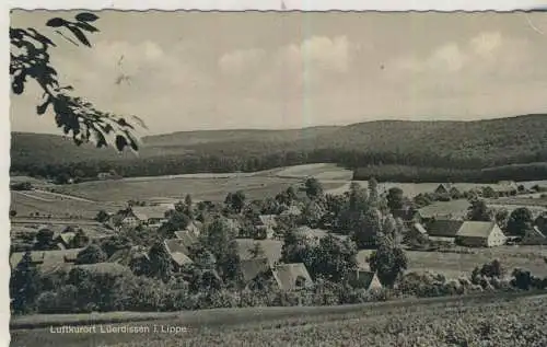 Luftkurort Lüerdissen i. Lippe -  von 1963 (K59762)