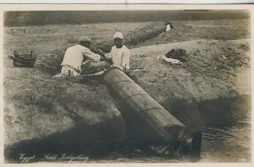 Egypte - Field Irrigating - von 1928 (AK59678)