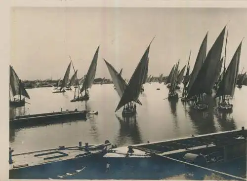 Cairo - River Nile - 11,8cm x 8,8cm - von 1928 (F59690)