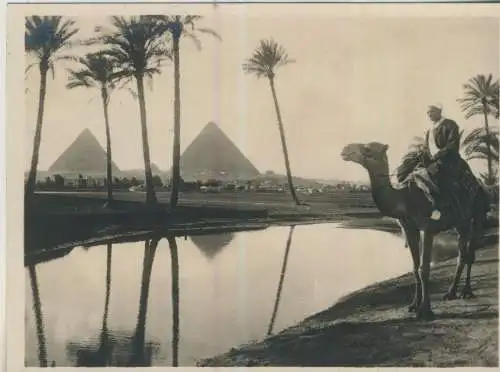 Cairo - The Pyramids of Gizeh - 11,8cm x 8,8cm - von 1928 (F59691)
