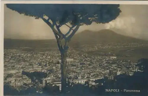 NAPOLI - Panorama - von 1929 (AK59699-1)