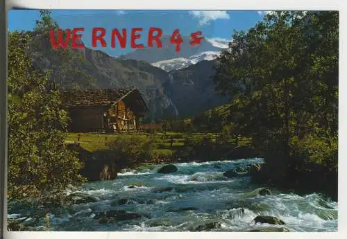 Wildstrudel - Berner Alpen - von 1962 (AK35521)