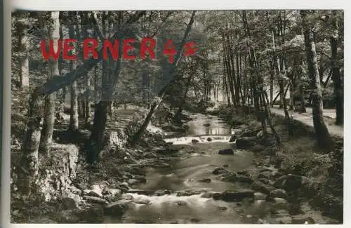WILDBAD im Schwarzwald - An der Enz - von 1961 (AK35526)