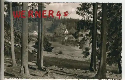 Partie am Lakenhausteich - von 1959 (AK35528)