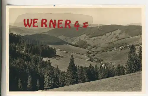 Höhenluftkurort und Wintersportplatz Todtnauberg - von 1956 (AK35535)