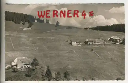 Luftkurort Todtnauberg - von 1962 (AK35538)