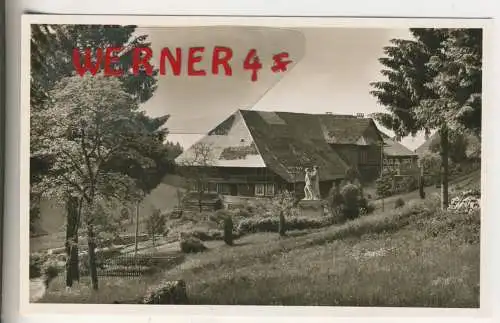 Höhenluftkurort und Wintersportplatz Todtnauberg  - von 1958 (AK35540)
