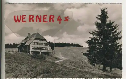 Jugendherberge "Fleinerhaus" am Ratschert -  Todtnauberg  - von 1960 (AK35541)