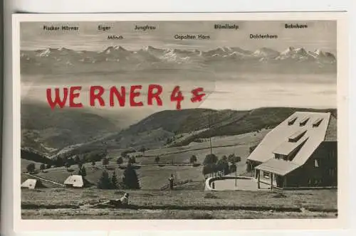 Alpensicht von der Jugendherberge "Fleinerhaus" am Ratschert -  Todtnauberg  - von 1958 (AK35542)