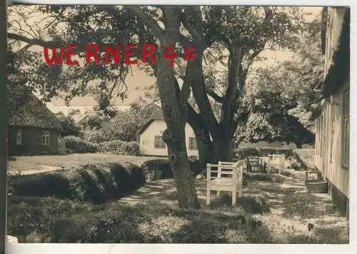 Sylt  - von 1965 (AK34591)