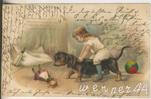Kind reitet auf Dackel   - von 1903 (AK35300a)