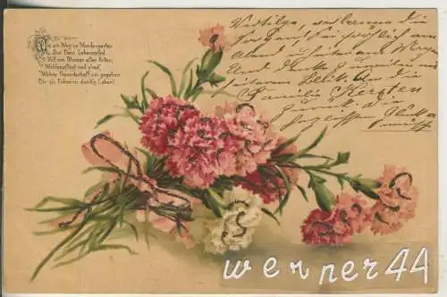 Nelkenstrauß mit Liebesgedicht    - von 1901 (AK35342a)