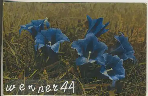 Enzian - von 1930 (AK35352a)