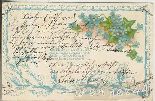 Vergissmeinnicht mit Gedicht - von 1904 (AK35354a)