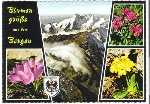 Blumengrüße aus den Bergen - Großglockner - 4 Ansichten - von 1980 (AK6335)