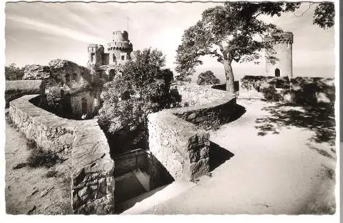 Burgrestaurant Auerbacher Schloß - Sagenkiefer mit Süd- und Nordturm   - von 1955 (AK6395)