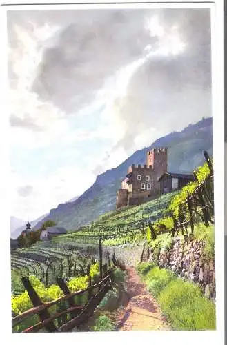 Burg in den Weinbergen - von 1920 (AK6441)
