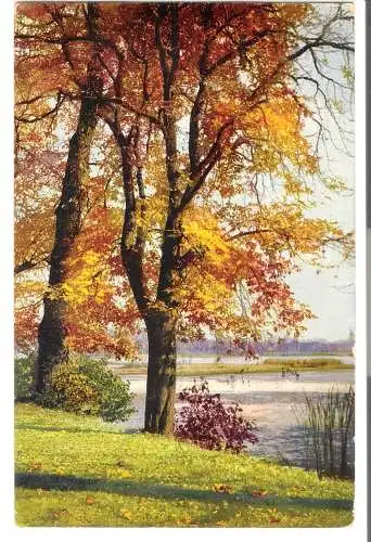 Landschaft mit See - von 1917 (AK6461)