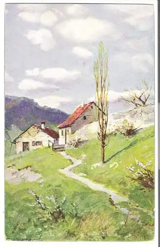 Häuser in bergiger Landschaft      - von 1907 (AK6493)