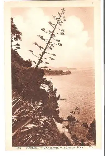 TOULON - Le CAP BRUN - Bord de la Mer  - von 1934 (AK6583)