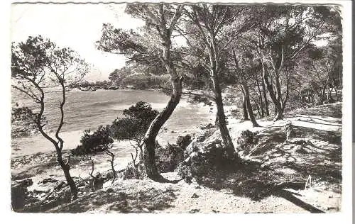 Côte d'Azur - Chemin du Bord de Mer  - von 1960 (AK6586)