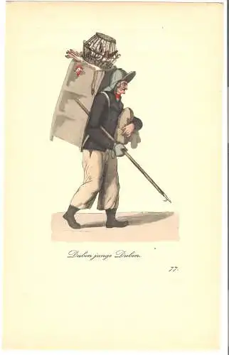 Blatt aus "Der Ausruf in Hamburg" , Hamburg 1808 , Prof. Suhr, Nr.77 Duben junge Duben   , kol. Kupferstich  (1090) P r