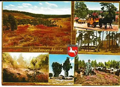 Lüneburger Heide - 6 Ansichten - von 1984 (AK6717)