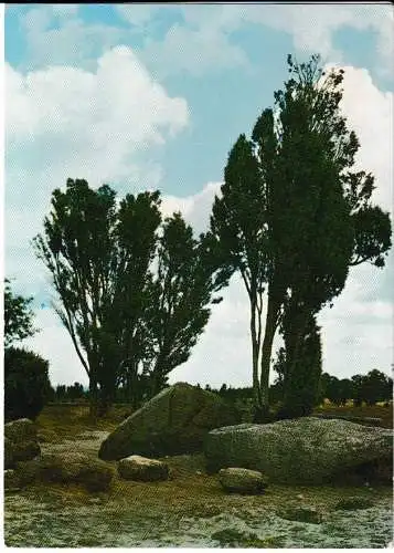 Naturschutzgebiet LÜNEBURGER HEIDE - Hannibals Grab - von 1967 (AK6722)