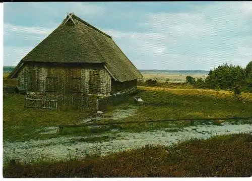 Naturschutzgebiet LÜNEBURGER HEIDE - Schafstall - von 1967 (AK6723)