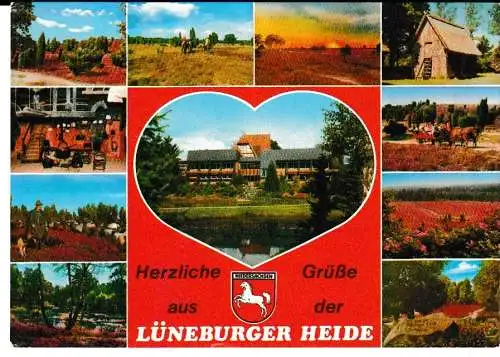 Herzliche Grüße aus der LÜNEBURGER HEIDE - 11 Ansichten - von 1968 (AK6726)