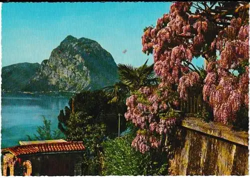 LUGANO -Blumengarten und S. Salvator - von 1960 (AK6738)