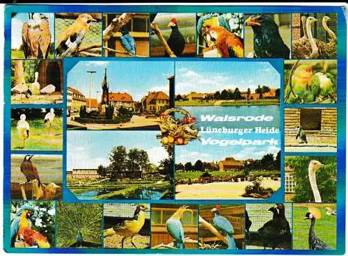 Walsrode - Lüneburger Heide - Vogelpark - 4 Ansichten und 20 Vogelbilder - von 1962 (AK6761)
